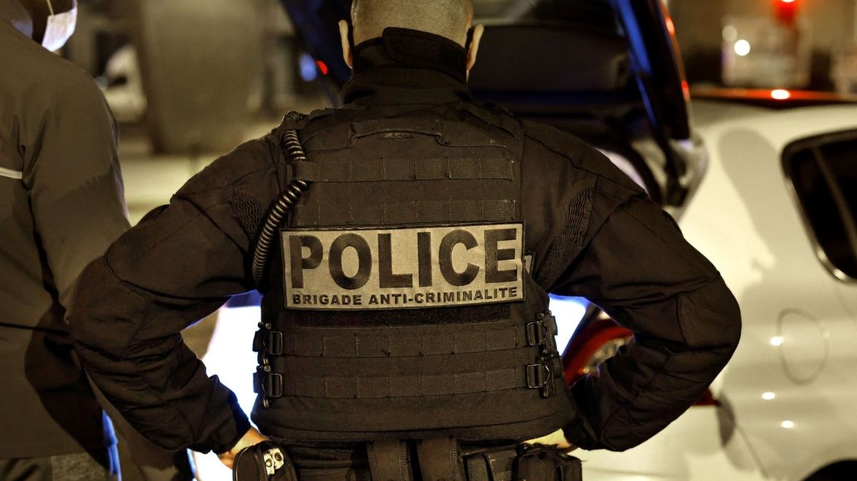V Paříži našli kufr s tělem zavražděné dvanáctileté dívky